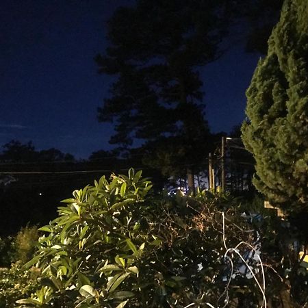 Hotel Windy House Dalat Exterior foto