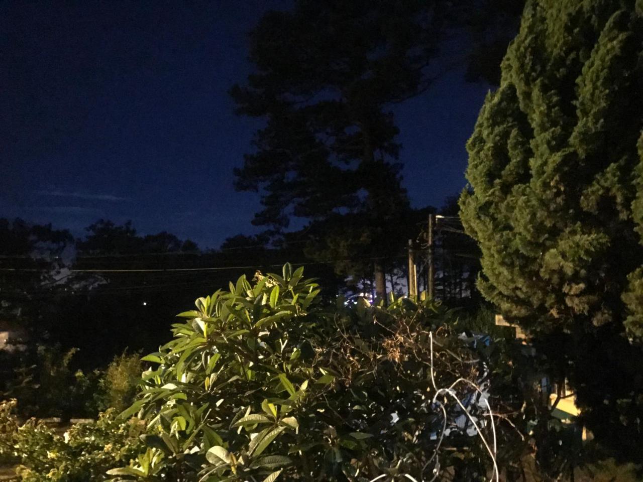 Hotel Windy House Dalat Exterior foto